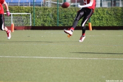 Marburg Mercenaries vs Kaiserslautern Pikes 244