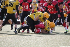U17 Marburg Mercenaries vs. Frankfurt Pirates 341